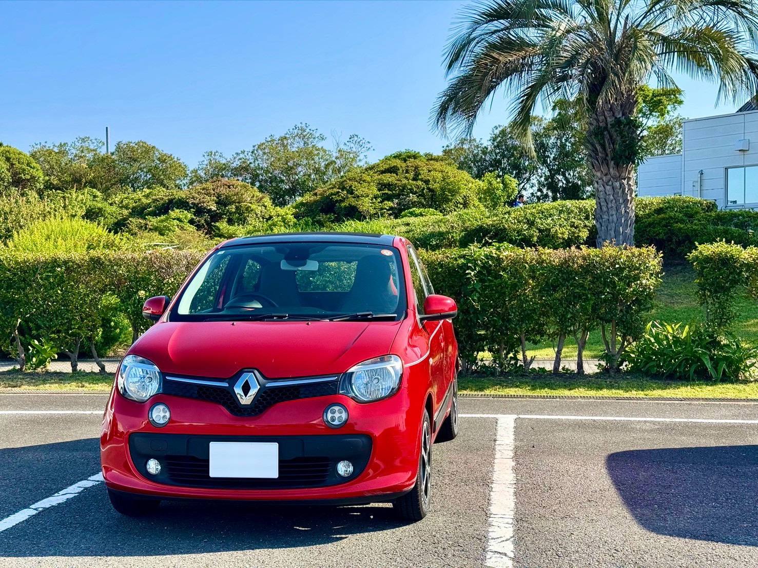 CCCYのカーシェア車両 Renault Twingo
